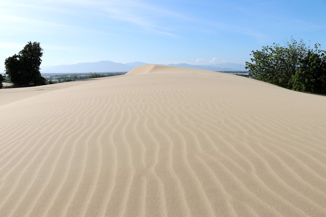 Ninh Thuận tăng cường bảo vệ và phát huy giá trị đồi cát Nam Cương  - Ảnh 3.