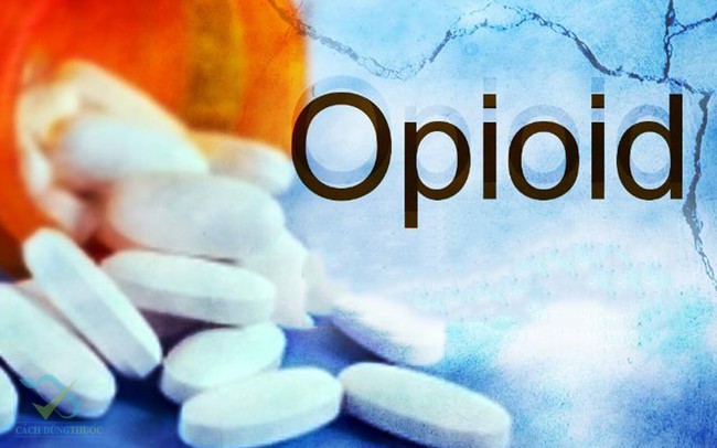 Canada: Gần 50.000 ca tử vong vì lạm dụng opioid - Ảnh 1.