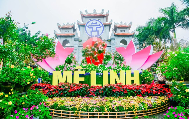 Festival Hoa Mê Linh 2024: Cơ hội vàng để nâng tầm du lịch và kinh tế địa phương - Ảnh 3.