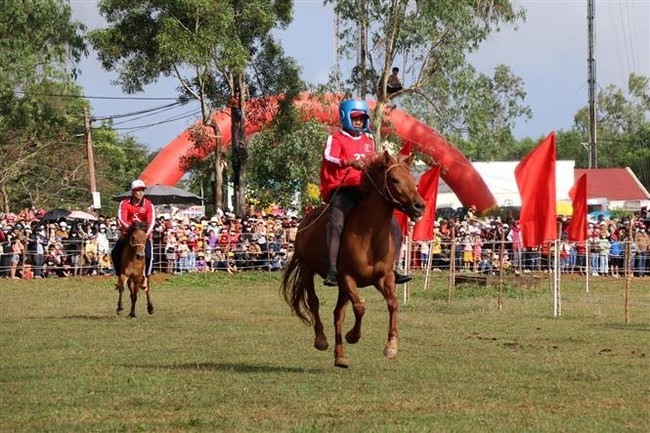 Đặc sắc Hội đua ngựa truyền thống Gò Thì Thùng - Ảnh 2.