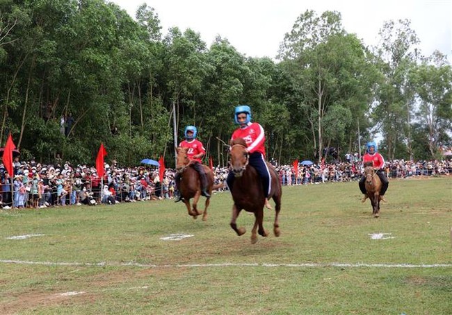 Đặc sắc Hội đua ngựa truyền thống Gò Thì Thùng - Ảnh 1.