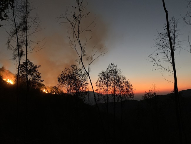 Kịp thời dập tắt ba vụ cháy rừng ở huyện Mù Cang Chải - Ảnh 1.