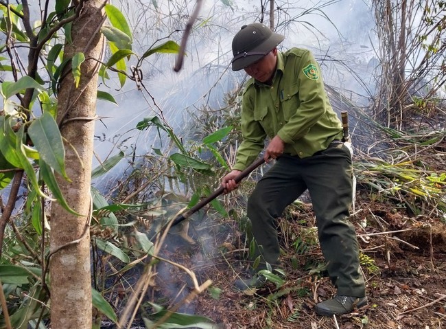 Kịp thời dập tắt ba vụ cháy rừng ở huyện Mù Cang Chải - Ảnh 2.