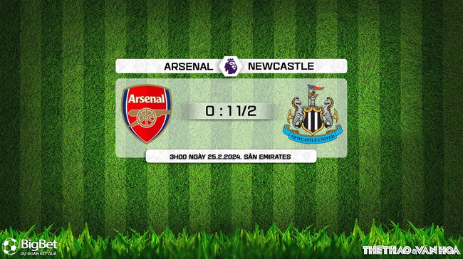 Nhận định Arsenal vs Newcastle (3h00, 25/2), Ngoại hạng Anh vòng 26 - Ảnh 8.