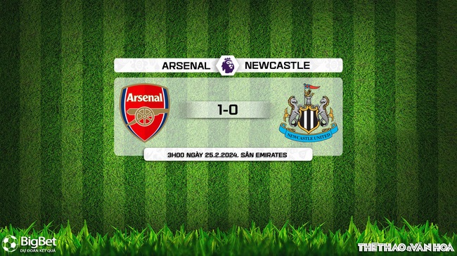 Nhận định Arsenal vs Newcastle (3h00, 25/2), Ngoại hạng Anh vòng 26 - Ảnh 10.