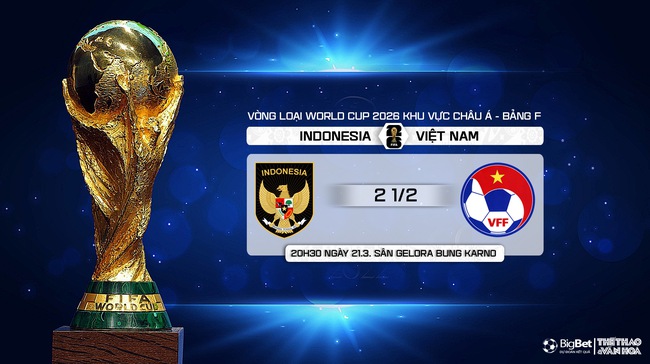 Nhận định bóng đá Việt Nam vs Indonesia (20h30, 21/3), vòng loại World Cup 2026   - Ảnh 11.