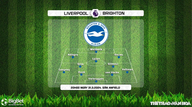 Nhận định bóng đá Liverpool vs Brighton (20h00, 31/3), Ngoại hạng Anh vòng 30 - Ảnh 4.