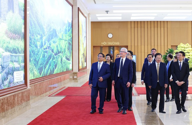 Thủ tướng Phạm Minh Chính tiếp Giám đốc điều hành Tập đoàn Apple Tim Cook - Ảnh 4.
