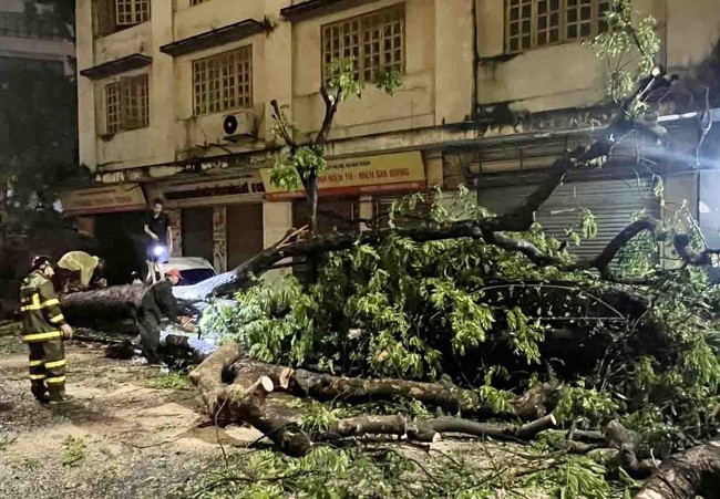 Hà Nội: Khắc phục hậu quả hơn 400 cây xanh bị gãy, đổ, nghiêng sau trận mưa giông tối 20/4 - Ảnh 1.