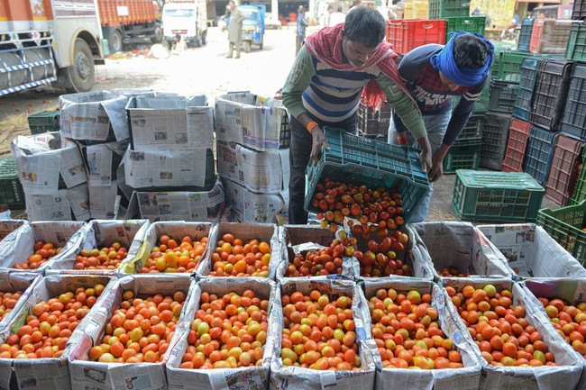 Liên hợp quốc nâng dự báo triển vọng kinh tế toàn cầu năm 2024 - Ảnh 1.