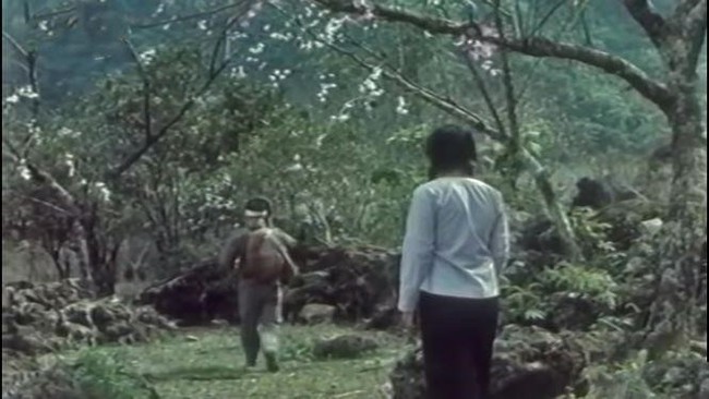 Điện Biên Phủ - nguồn cảm hứng bất tận: Phim 'Hoa ban đỏ' - khoảng lặng của chiến tranh - Ảnh 6.