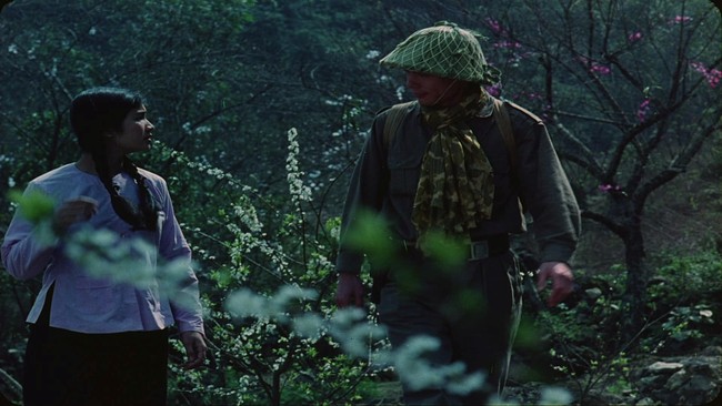 Điện Biên Phủ - nguồn cảm hứng bất tận: Phim 'Hoa ban đỏ' - khoảng lặng của chiến tranh - Ảnh 1.