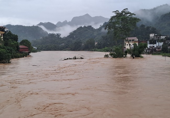 Hà Giang mưa to, nước thượng nguồn đổ về gây ngập lụt trên diện rộng - Ảnh 9.