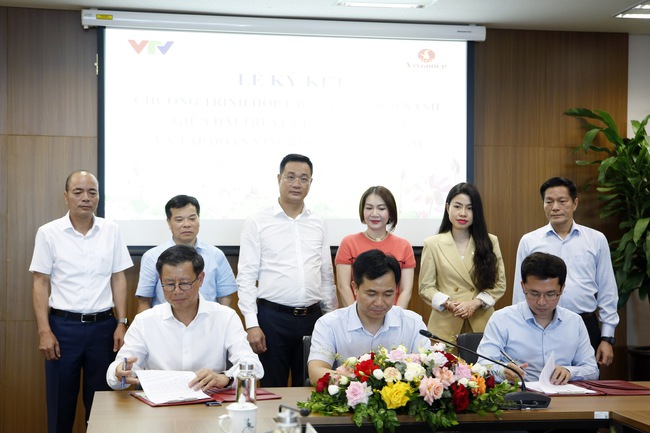 Đài truyền hình Việt Nam và tập đoàn VinGroup hợp tác thúc đẩy chuyển đổi xanh - Ảnh 1.