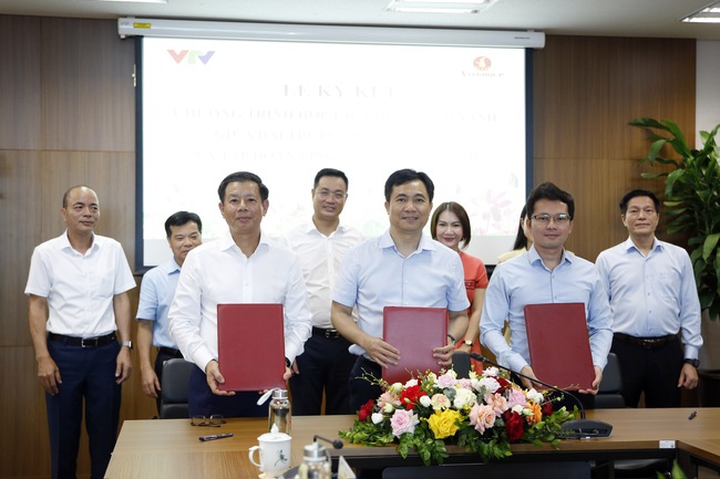 Đài truyền hình Việt Nam và tập đoàn VinGroup hợp tác thúc đẩy chuyển đổi xanh - Ảnh 2.