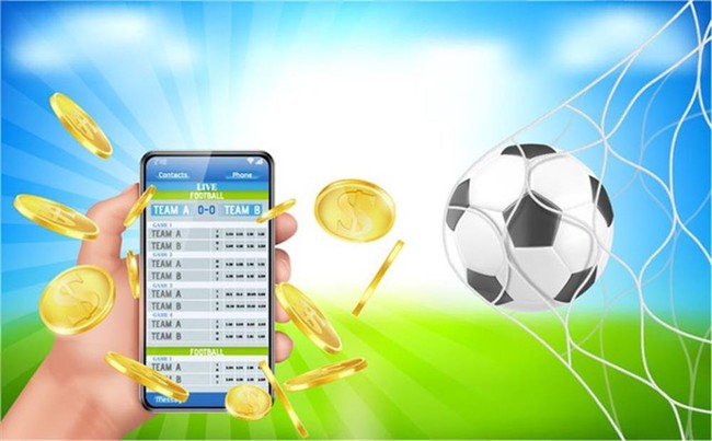 Bộ công an cảnh báo tội phạm tổ chức đánh bạc dưới hình thức cá độ bóng đá trong kỳ EURO - Ảnh 1.