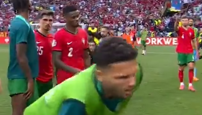 Nhân viên an ninh đốn ngã sao tuyển Bồ Đào Nha khi truy đuổi fan cuồng Ronaldo - Ảnh 3.