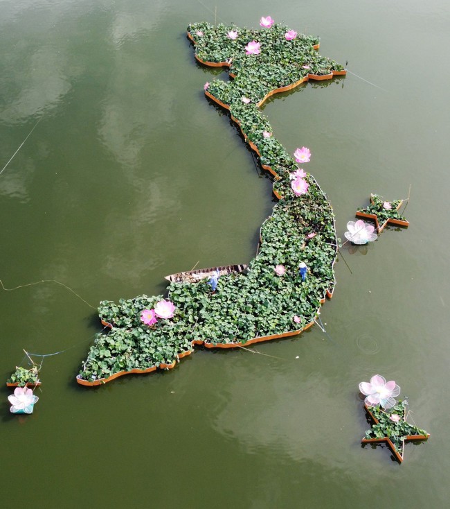 Tạo hình bản đồ Việt Nam từ 5.000 chậu hoa sen ở Đồng Tháp - Ảnh 1.