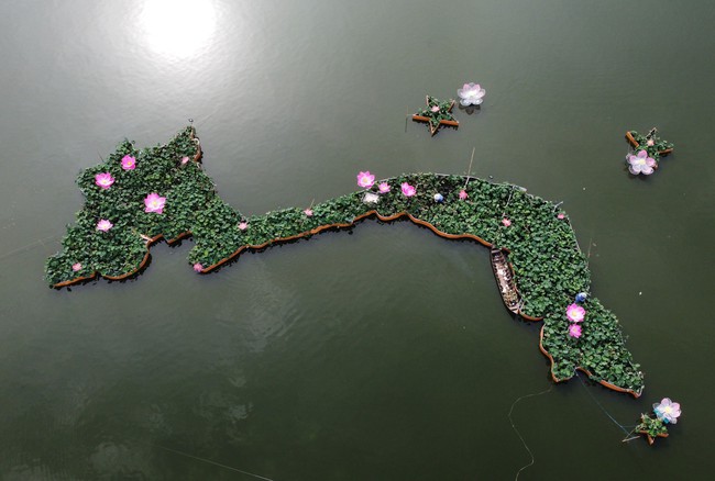 Tạo hình bản đồ Việt Nam từ 5.000 chậu hoa sen ở Đồng Tháp - Ảnh 2.