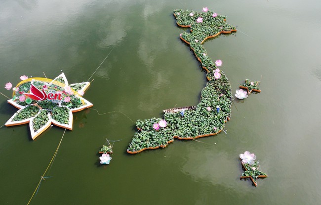 Tạo hình bản đồ Việt Nam từ 5.000 chậu hoa sen ở Đồng Tháp - Ảnh 3.