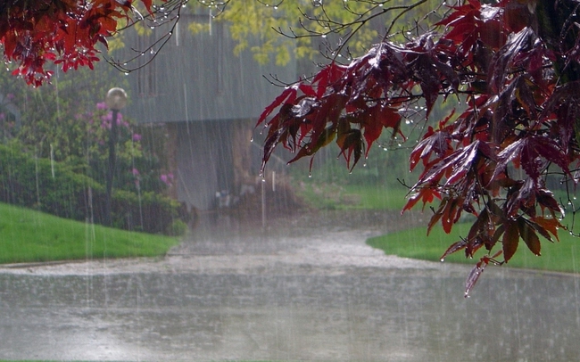 Bắc Bộ và Thanh Hóa có mưa to và dông - Ảnh 1.