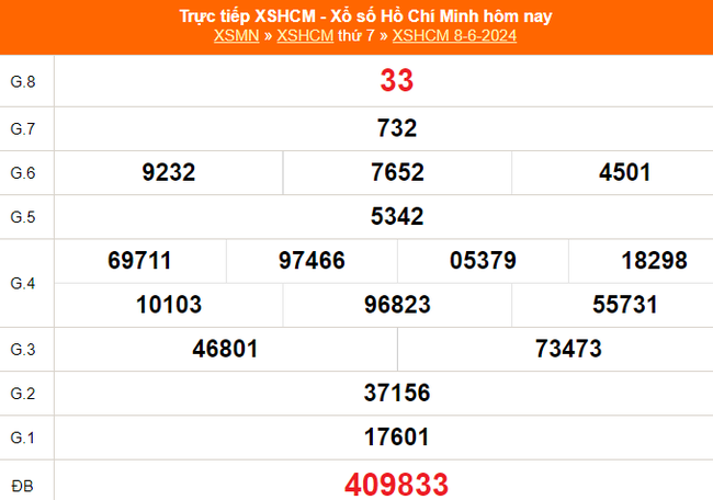 XSHCM 8/6, kết quả xổ số Hồ Chí Minh ngày 8/6/2024, trực tiếp xổ số hôm nay - Ảnh 1.