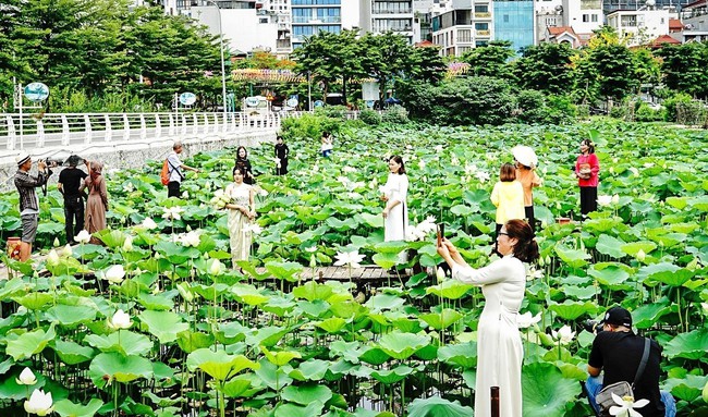 Lần đầu tiên tổ chức Lễ hội Sen Hà Nội 2024 - Ảnh 2.