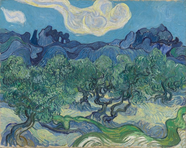 Lật lại nghi vấn về &quot;thiên tài bị bỏ rơi&quot; Van Gogh - Ảnh 2.