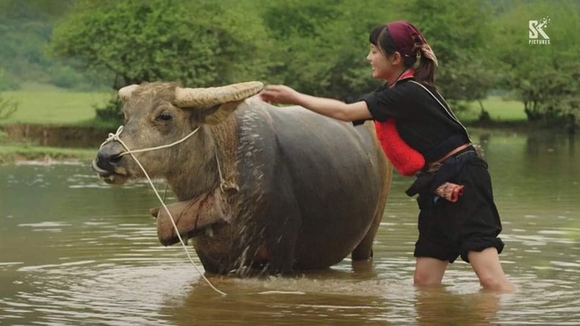 Bị bắt lỗi sai về trang phục, cảnh phim trong 'Đi giữa trời rực rỡ', đạo diễn nói gì? - Ảnh 3.