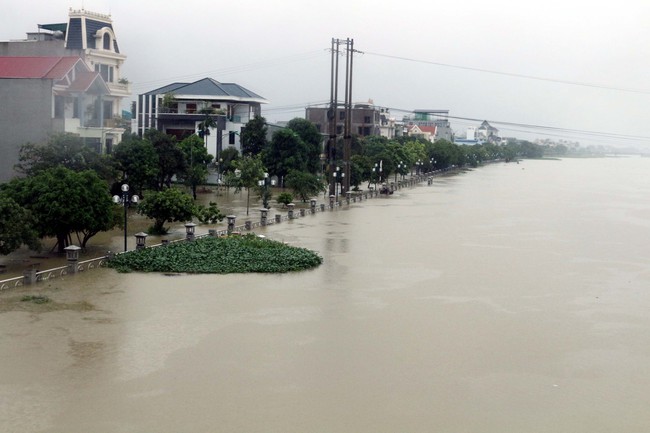 Hà Nội: Mưa lớn làm tràn bờ bao ở nhiều huyện, sẵn sàng sơ tán người dân đến nơi an toàn - Ảnh 1.