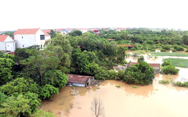 Nhìn lại những cơn bão mạnh đổ bộ vào Việt Nam những năm gần đây - Ảnh 1.