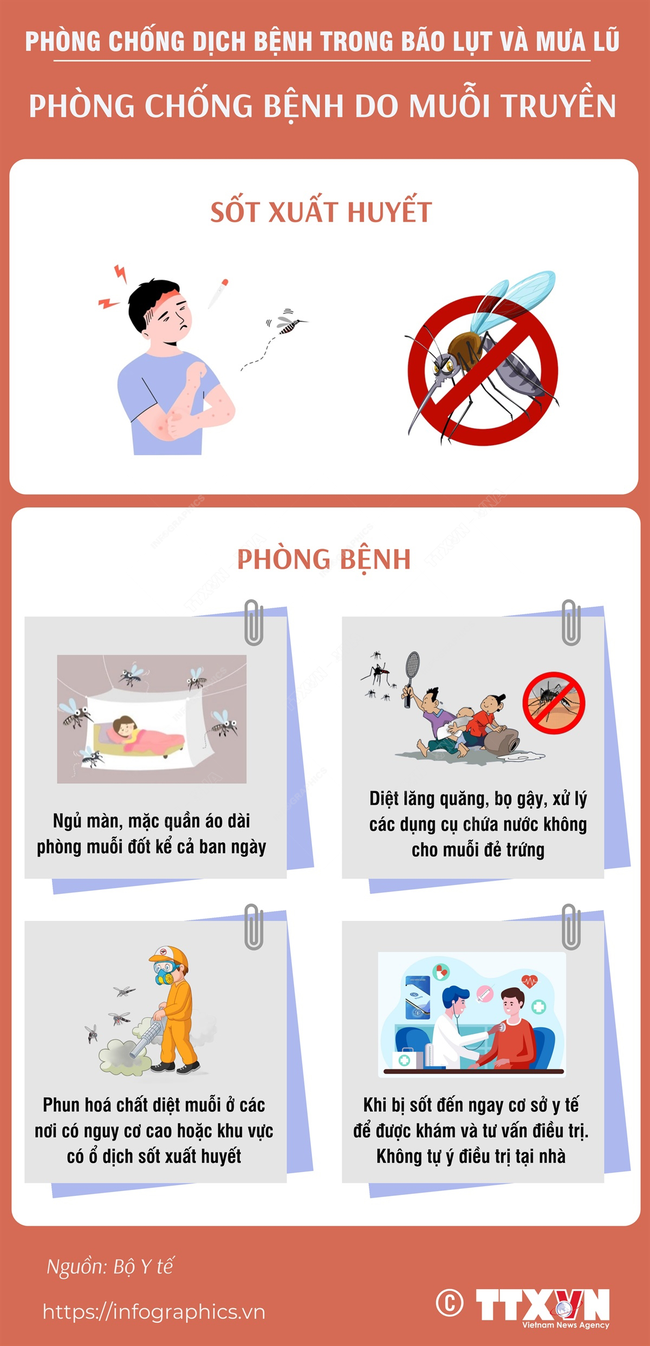 Phòng chống bệnh do muỗi truyền - Ảnh 1.