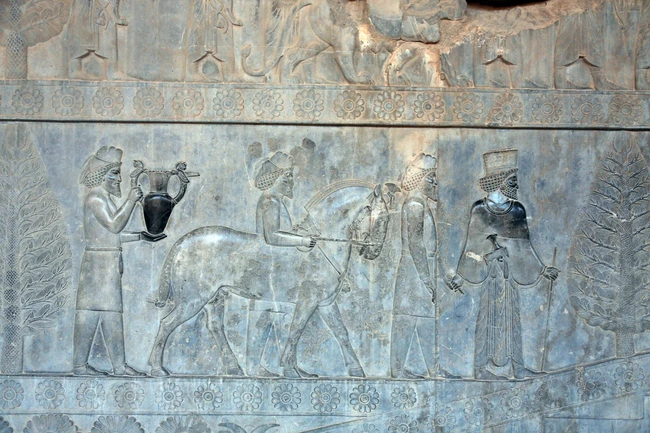 Khu di tích cổ đại Persepolis đối mặt với nguy cơ bị phá hủy do địa y - Ảnh 2.