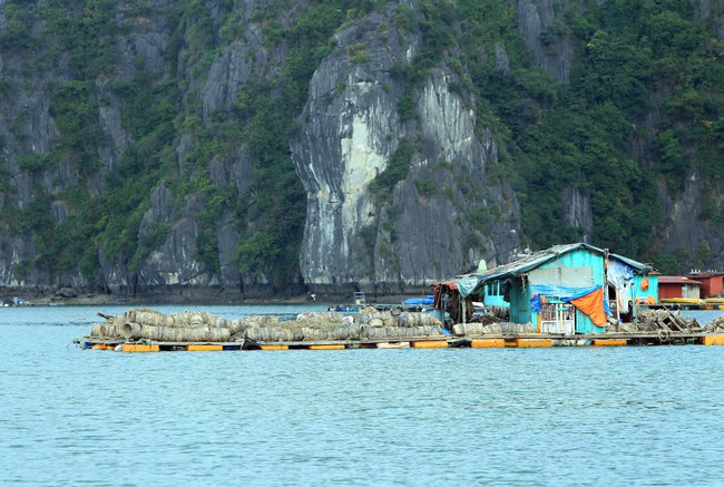 Cát Bà, Đồ Sơn sẵn sàng đón khách du lịch - Ảnh 2.