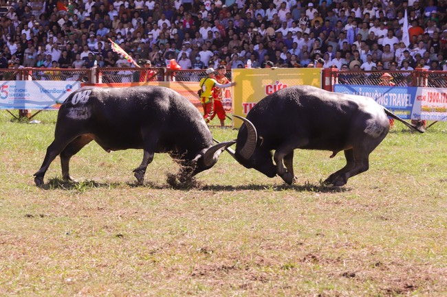 Cát Bà, Đồ Sơn sẵn sàng đón khách du lịch - Ảnh 3.