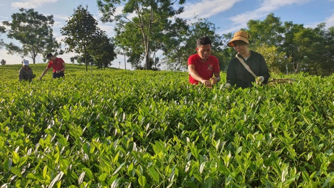 Agribank - Ngân hàng tiêu biểu vì cộng đồng - Ảnh 1.