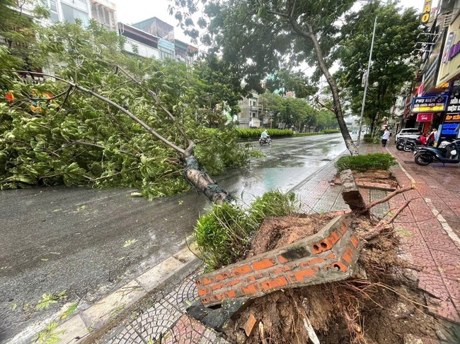 Nhìn lại siêu bão YAGI với những giải pháp lâu dài - Bài cuối: Bài học ứng phó với thiên tai - Ảnh 1.