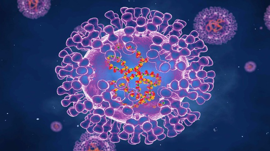 Đậu mùa khỉ được xếp vào bệnh truyền nhiễm nhóm B - Ảnh 3.