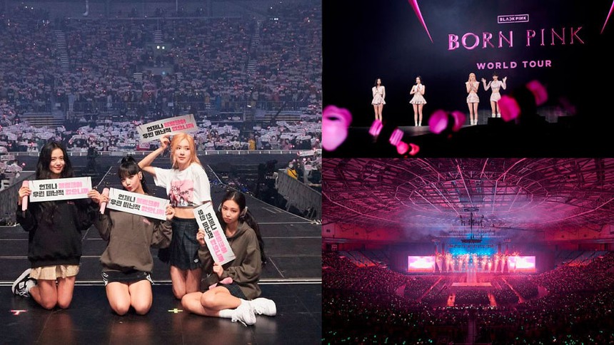 Fan Trung Quốc của Jisoo Blackpink chịu chi để 'cầu hôn' người đẹp - Ảnh 2.