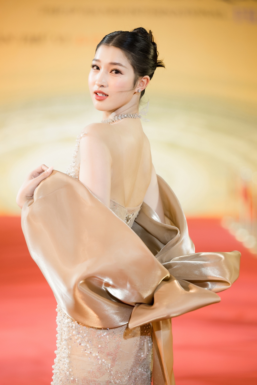 Dàn nghệ sĩ trên thảm đỏ LHP Quốc tế Hà Nội - Ảnh 6. Dàn nghệ sĩ trên thảm đỏ LHP Quốc tế Hà Nội - Ảnh 6.