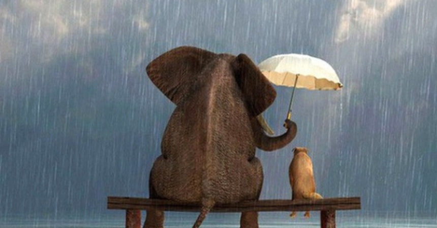 Lòng đố kị như hòn than nóng, ném vào người khác nhưng chính mình bị thương: Hãy cảnh giác kẻo đời bạn mãi thụt lùi! - Ảnh 4. Lòng đố kị như hòn than nóng, ném vào người khác nhưng chính mình bị thương: Hãy cảnh giác kẻo đời bạn mãi thụt lùi! - Ảnh 4.