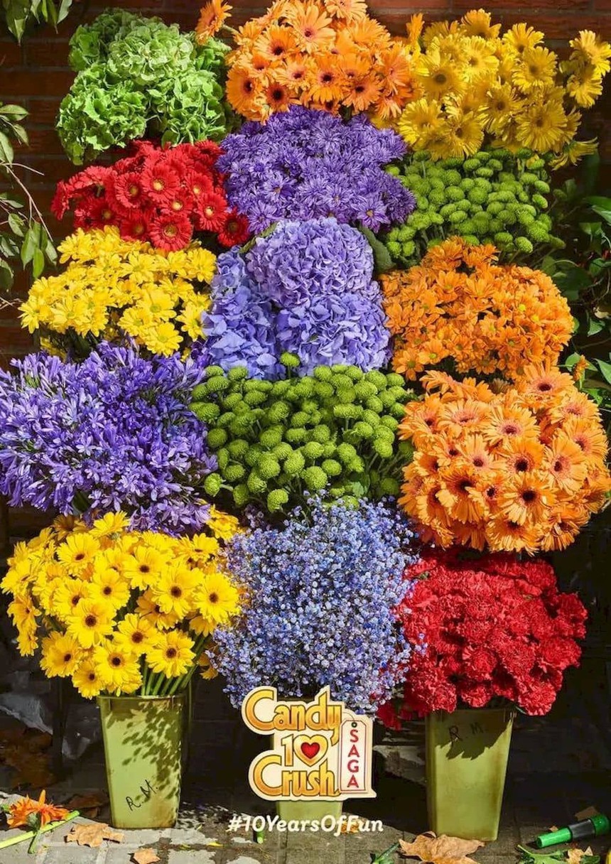 Đâu là tựa game được giới phụ huynh yêu thích nhất - Ảnh 4.