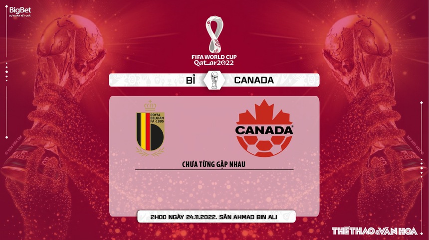 Soi kèo, nhận định Bỉ vs Canada, World Cup 2022 (2h00, 24/11) - Ảnh 3.