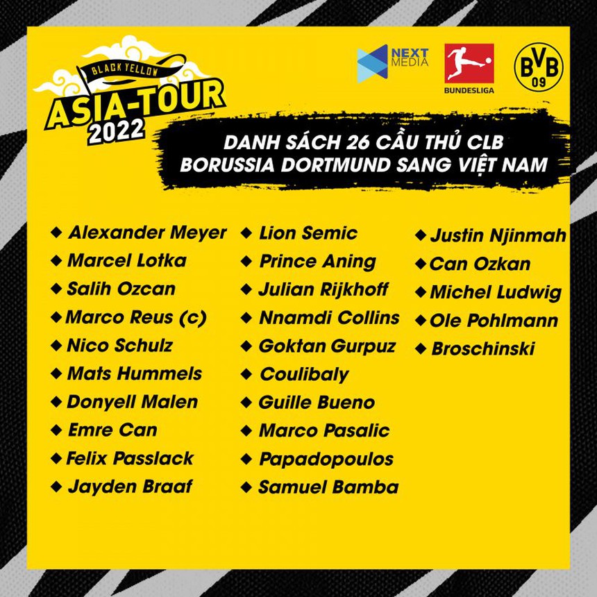 Dortmund du đấu Việt Nam, có Marco Reus và Julian Hummels - Ảnh 3.