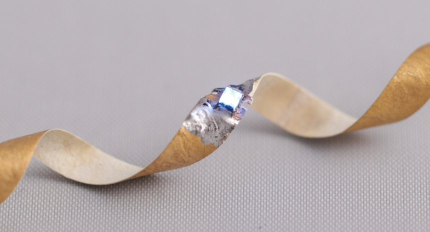 Khoa học thử nghiệm chip máy tính có thành phần nấm linh chi, tái chế và phân hủy dễ dàng - Ảnh 3.