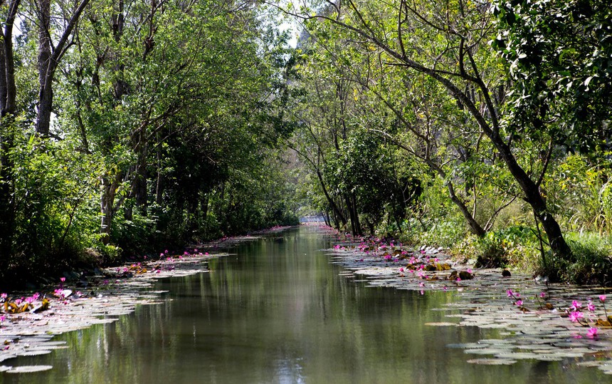 Khu danh thắng Kim Sơn – 'Tuyệt Tình Cốc' trong lòng Thanh Hóa - Ảnh 4. Khu danh thắng Kim Sơn – 'Tuyệt Tình Cốc' trong lòng Thanh Hóa - Ảnh 4.