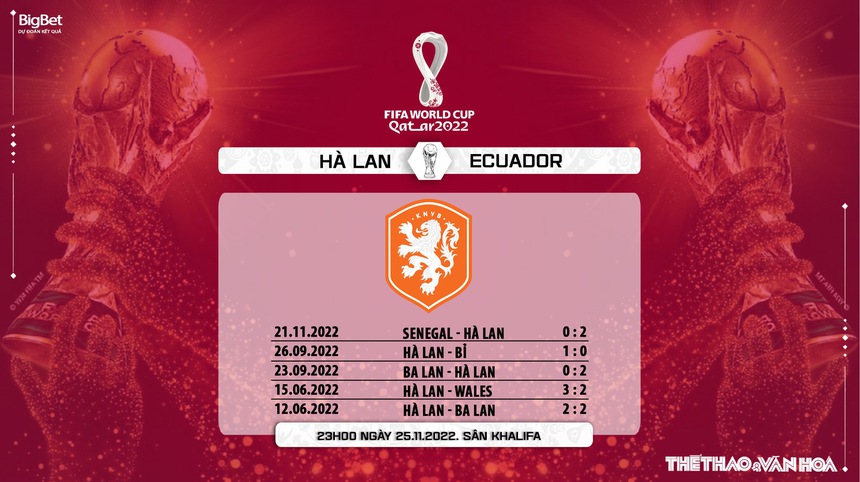 Link trực tiếp bóng đá Hà Lan vs Ecuador, World Cup 2022 (23h00, 25/11) - Ảnh 3.