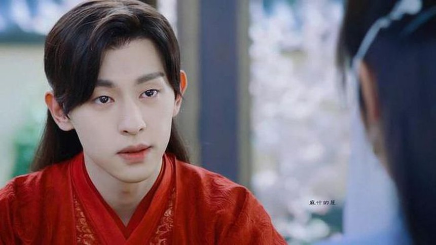 (TIN THỨ 7) Top 6 gương mặt trốn thuế của nhất C-biz: Ngô Diệc Phàm chỉ dám nhận hạng 3 - Ảnh 10.