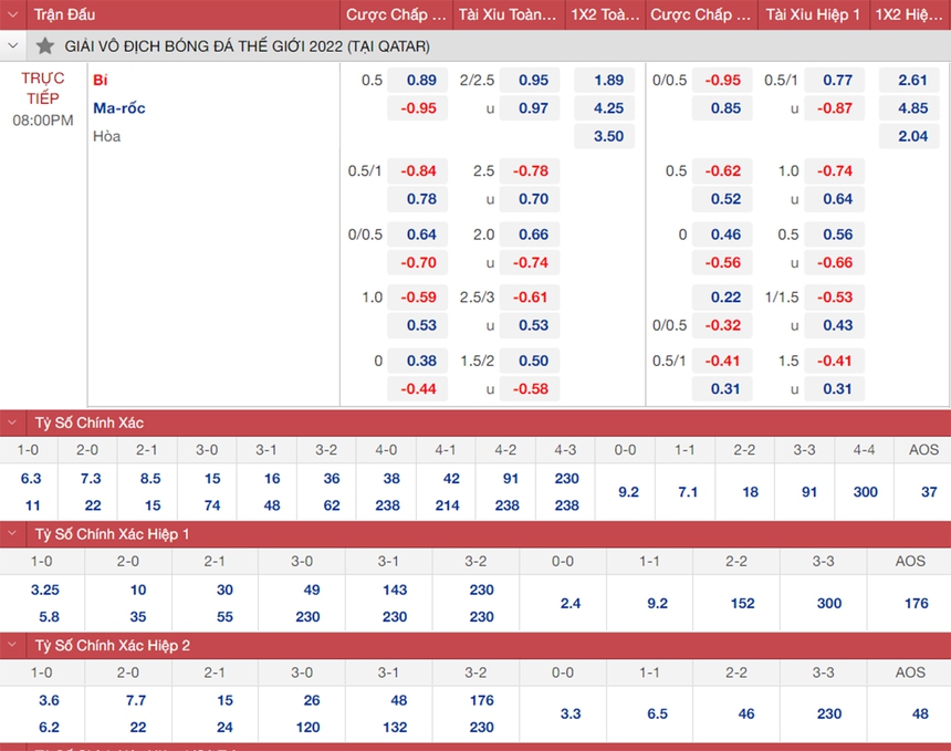 Nhận định bóng đá Bỉ vs Ma rốc, World Cup 2022 (20h00, 27/11) - Ảnh 2.