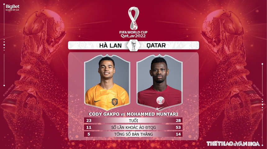 Nhận định kèo Hà Lan vs Qatar (22h00, 29/11), World Cup 2022 - Ảnh 5. Nhận định kèo